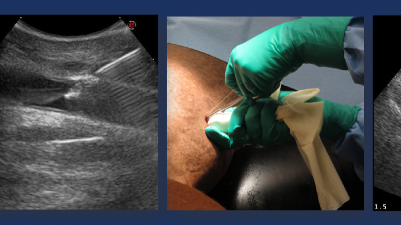 Large Animal Ultrasound School of Veterinary Medicine